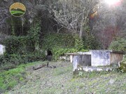 Terreno Rstico - So Martinho das Amoreiras, Odemira, Beja - Miniatura: 6/9