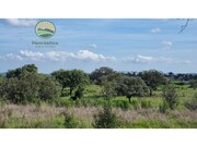 Quinta T1 - Santa Margarida da Serra, Grndola, Setbal - Miniatura: 1/9