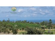 Quinta T1 - Santa Margarida da Serra, Grndola, Setbal - Miniatura: 2/9