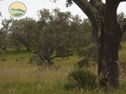 Quinta T1 - Santa Margarida da Serra, Grndola, Setbal - Miniatura: 8/9