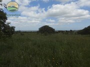 Quinta T1 - Santa Margarida da Serra, Grndola, Setbal - Miniatura: 9/9