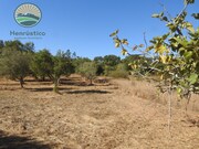Quinta - Santa Margarida da Serra, Grndola, Setbal - Miniatura: 6/9