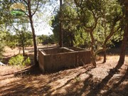 Quinta - Santa Margarida da Serra, Grndola, Setbal - Miniatura: 7/9