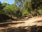 Quinta - Santa Margarida da Serra, Grndola, Setbal - Miniatura: 8/9