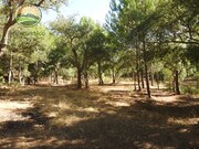 Quinta - Santa Margarida da Serra, Grndola, Setbal - Miniatura: 9/9