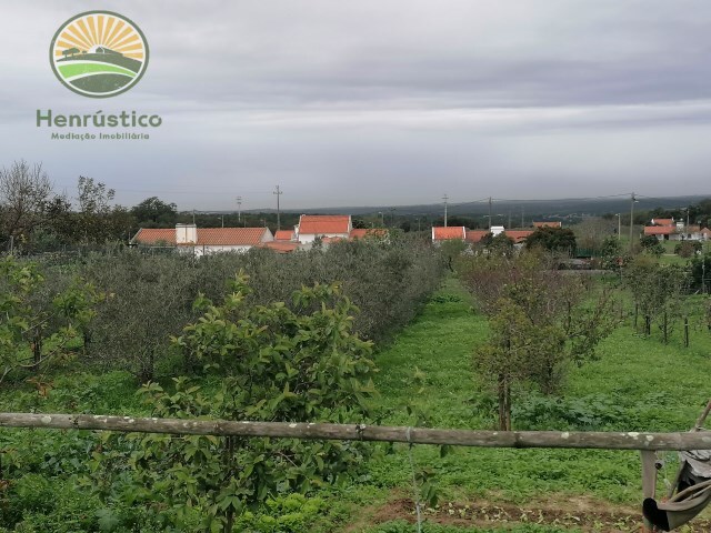 Quinta - Melides, Grândola, Setúbal - Imagem grande