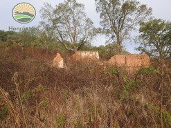 Terreno Rstico - Colos, Odemira, Beja