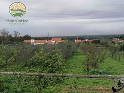 Quinta - Melides, Grndola, Setbal