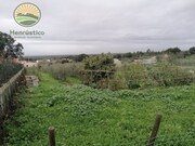 Quinta - Melides, Grndola, Setbal - Miniatura: 2/4