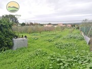 Quinta - Melides, Grndola, Setbal - Miniatura: 4/4