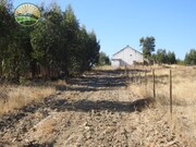 Terreno Rstico T1 - Santa Margarida da Serra, Grndola, Setbal - Miniatura: 4/9