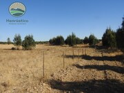 Terreno Rstico T1 - Santa Margarida da Serra, Grndola, Setbal - Miniatura: 6/9
