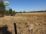 Terreno Rstico T1 - Santa Margarida da Serra, Grndola, Setbal - Miniatura: 7/9