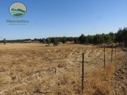 Terreno Rstico T1 - Santa Margarida da Serra, Grndola, Setbal - Miniatura: 8/9
