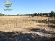 Terreno Rstico T1 - Santa Margarida da Serra, Grndola, Setbal - Miniatura: 9/9