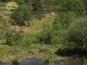 Terreno R�stico - Santa Cruz, Almod�var, Beja - Miniatura: 6/8