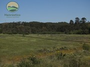 Terreno R�stico - Santa Cruz, Almod�var, Beja - Miniatura: 7/8