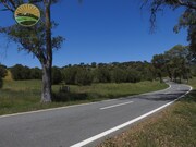 Terreno R�stico - Santa Cruz, Almod�var, Beja - Miniatura: 8/8