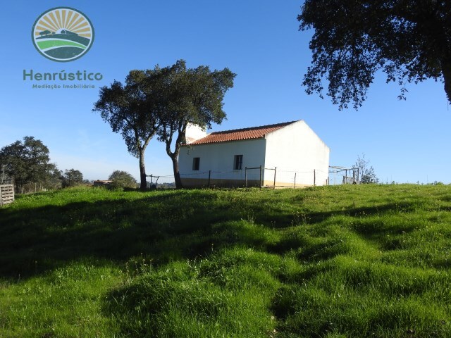 Terreno Rústico - Santa Margarida da Serra, Grândola, Setúbal - Imagem grande