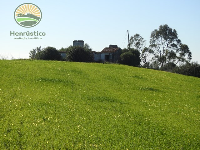 Quinta T1 - Santiago do Cacm, Santiago do Cacm, Setbal - Imagem grande