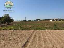 Terreno Rstico - Melides, Grndola, Setbal