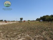 Terreno Rstico - Melides, Grndola, Setbal - Miniatura: 2/6