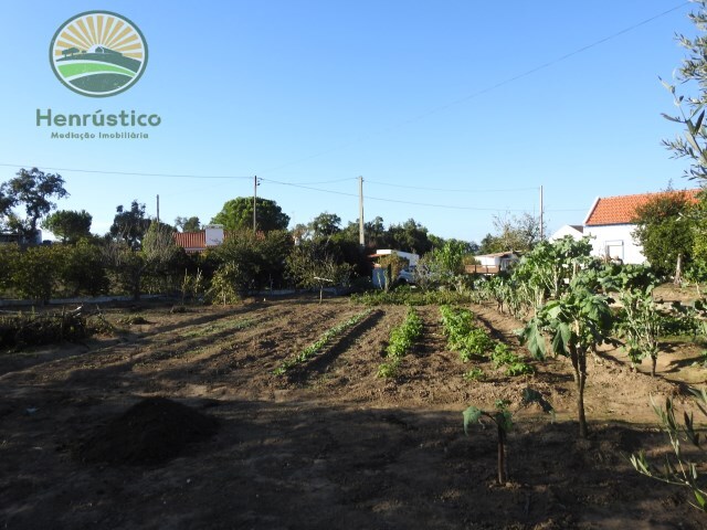 Quinta T2 - Santa Margarida da Serra, Grndola, Setbal - Imagem grande