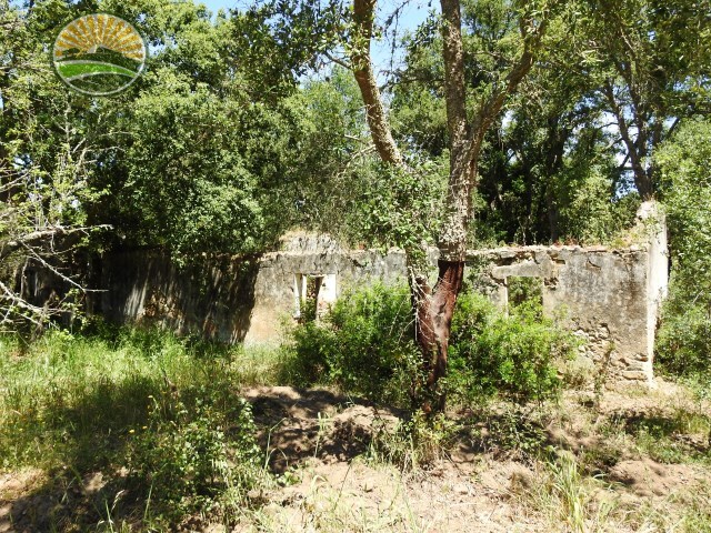 Quinta - Santiago do Cacm, Santiago do Cacm, Setbal - Imagem grande