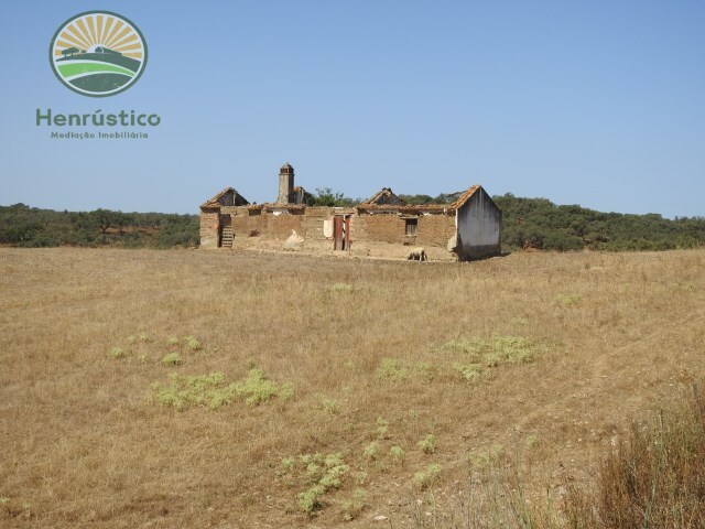 Quinta - Abela, Santiago do Cacm, Setbal - Imagem grande