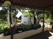 Quinta T2 - Santa Margarida da Serra, Grndola, Setbal - Miniatura: 5/9