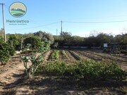 Quinta T2 - Santa Margarida da Serra, Grndola, Setbal - Miniatura: 6/9