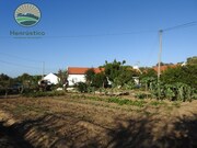 Quinta T2 - Santa Margarida da Serra, Grndola, Setbal - Miniatura: 7/9