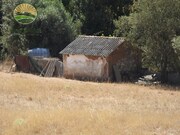 Quinta - Abela, Santiago do Cacm, Setbal - Miniatura: 3/7