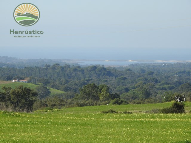 Quinta T1 - Santiago do Cacém, Santiago do Cacém, Setúbal - Imagem grande