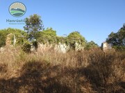 Terreno Rstico - So Lus, Odemira, Beja - Miniatura: 2/9
