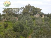 Terreno Rstico T1 - Santa Margarida da Serra, Grndola, Setbal - Miniatura: 2/9