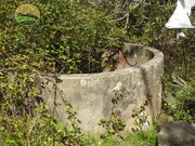 Terreno Rstico T1 - Santa Margarida da Serra, Grndola, Setbal - Miniatura: 7/9