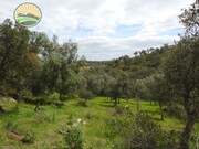 Terreno Rstico T1 - Santa Margarida da Serra, Grndola, Setbal - Miniatura: 8/9