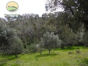 Terreno Rstico T1 - Santa Margarida da Serra, Grndola, Setbal - Miniatura: 9/9