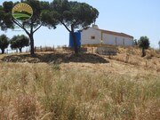 Terreno Rstico T1 - Abela, Santiago do Cacm, Setbal - Miniatura: 2/9
