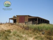 Terreno Rstico T1 - Abela, Santiago do Cacm, Setbal - Miniatura: 6/9