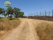 Quinta T1 - Abela, Santiago do Cacm, Setbal - Miniatura: 6/7