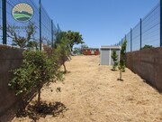 Quinta T1 - Abela, Santiago do Cacm, Setbal - Miniatura: 7/7