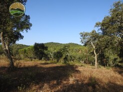 Terreno R�stico - S�o Lu�s, Odemira, Beja