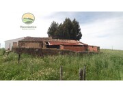 Terreno Rstico T3 - So Francisco da Serra, Santiago do Cacm, Setbal - Miniatura: 6/9