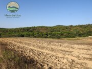 Terreno R�stico - S�o Lu�s, Odemira, Beja - Miniatura: 6/6