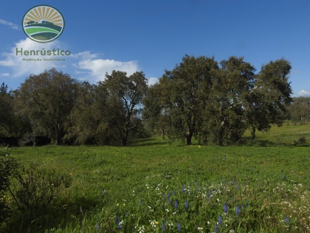 Terreno Rústico - São Francisco da Serra, Santiago do Cacém, Setúbal - Imagem grande