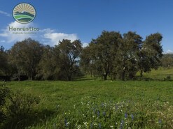 Terreno Rstico - So Francisco da Serra, Santiago do Cacm, Setbal