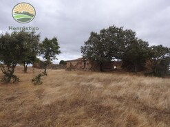 Quinta T1 - Azinheira dos Barros, Grndola, Setbal
