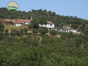 Terreno Rstico - Santa Cruz, Almodvar, Beja - Miniatura: 1/8